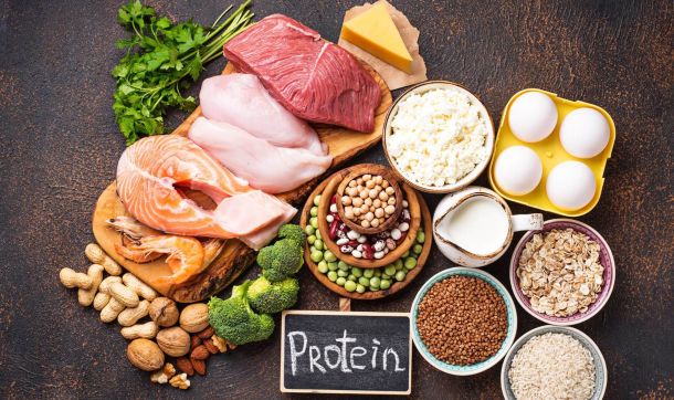 Protein diet